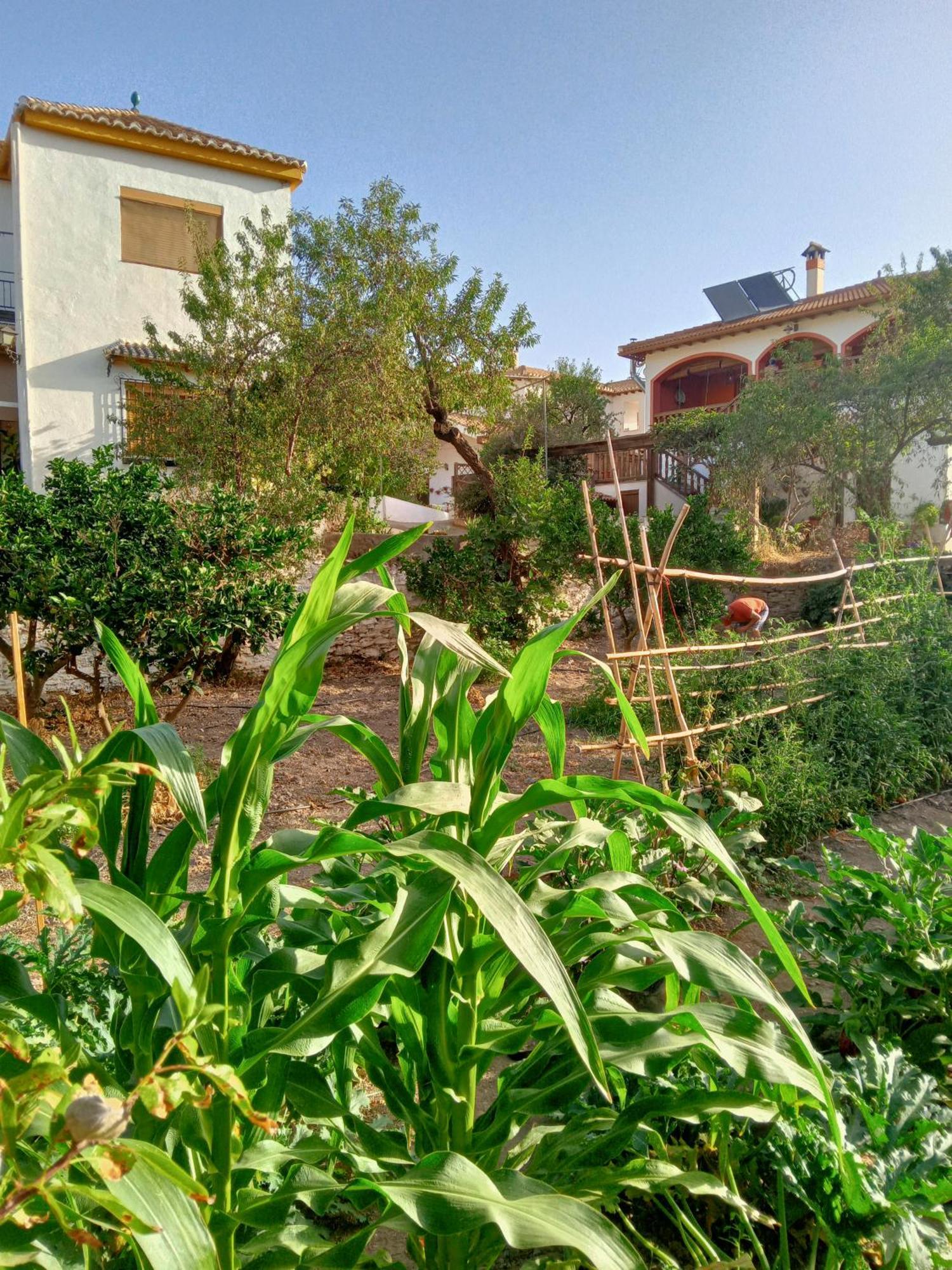 Tuguest Hortichuela House Villa Ugijar Exteriör bild